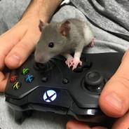RobotUnicornPower's Stream profile image