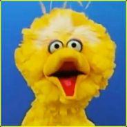 Braadkip [NL] Aka Big Bird's - Steam avatar