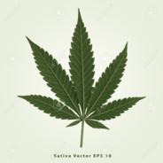 camiladeangeli14's Stream profile image