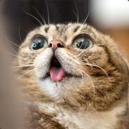 ' bortwan's Stream profile image