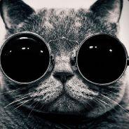 Beki's Stream profile image