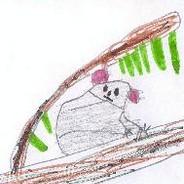 koala's - Steam avatar