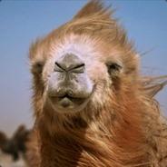Shane-Saw FR's Stream profile image