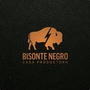 Bisonte Negro's - Steam avatar