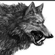 The_Dire_Wolf's Stream profile image