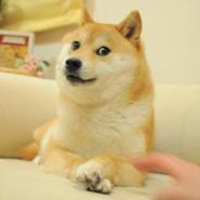 DogeRetard's Stream profile image