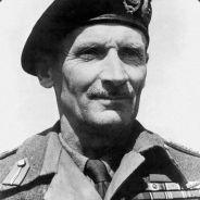 D Marshall I's Stream profile image