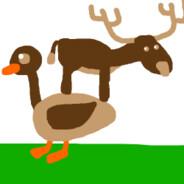 Moose On a Goose's Stream profile image