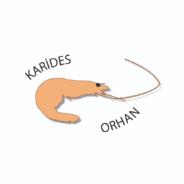 Karides_Orhan's Stream profile image