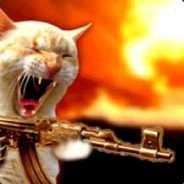 CaptainCAT's - Steam avatar