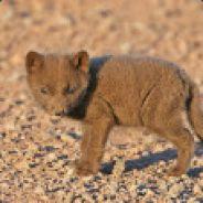 Kommunisten Schweinen - Slemmis's - Steam avatar