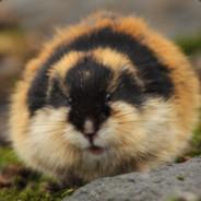 Smiling Lemming's - Steam avatar