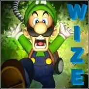 .:wize:.'s Stream profile image