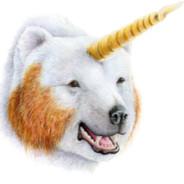 UnicornBear's Stream profile image