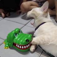 tonylibrownie's Stream profile image