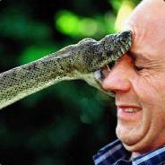 Snakebit's Stream profile image